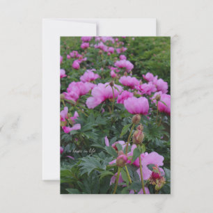 Carte De Correspondance Lavender Peonies