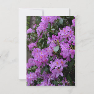 Carte De Correspondance Lavender Rhododendron