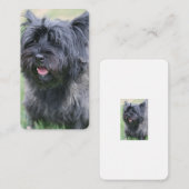 Carte De Correspondance Le Caire (Devant / Derrière)