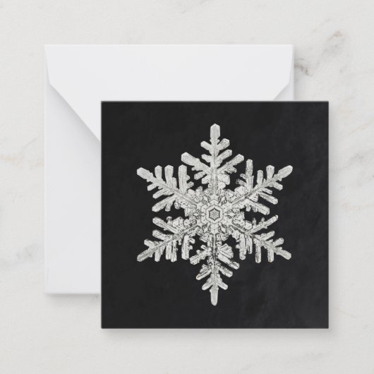 Carte De Correspondance Le flocon de neige de Wilson Bentley (Devant)