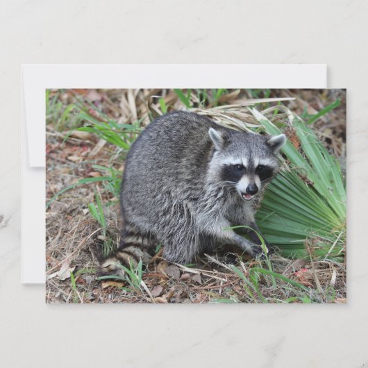 Carte De Correspondance Leave Me Alone (Devant)