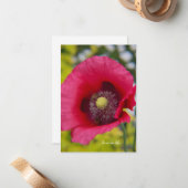 Carte De Correspondance Les abeilles et le pavot (Devant/Arrière en situation)