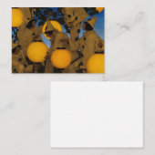 Carte De Correspondance Les Lantern Bearers, 1908 par Maxfield Parrish (Devant / Derrière)