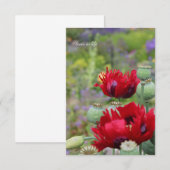 Carte De Correspondance Les pavots rouges dans le jardin (Devant / Derrière)