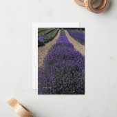 Carte De Correspondance Ligne Lavande longue (Devant/Arrière en situation)