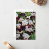 Carte De Correspondance Lit Iris violet et blanc (Devant/Arrière en situation)