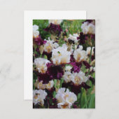 Carte De Correspondance Lit Iris violet et blanc (Devant / Derrière)