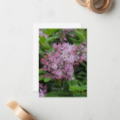 Carte De Correspondance Lovely Lilac (Devant/Arrière en situation)