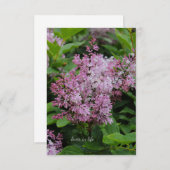 Carte De Correspondance Lovely Lilac (Devant / Derrière)