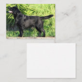 Carte De Correspondance LR noir complet (Devant / Derrière)