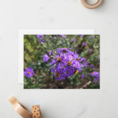Carte De Correspondance Lueur violette de l'automne (Devant/Arrière en situation)