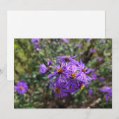 Carte De Correspondance Lueur violette de l'automne (Devant / Derrière)