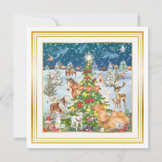 Carte De Correspondance Lumière d'hiver (Devant)