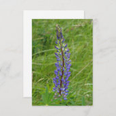 Carte De Correspondance Lupine pourpre simple (Devant / Derrière)