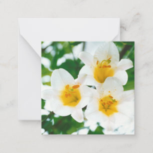 Carte De Correspondance Lys blancs rustiques - Lilium candidum