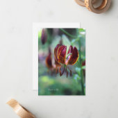 Carte De Correspondance Lys de tigre inhabituel (Devant/Arrière en situation)