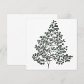 Carte De Correspondance Maidenhair Fern (Devant / Derrière)