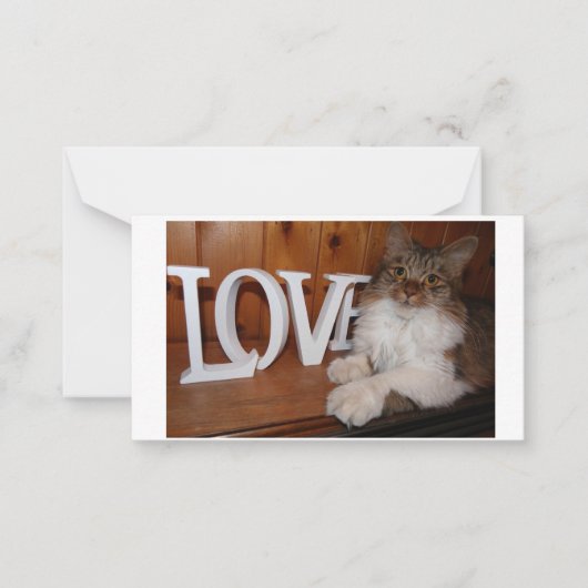 Carte De Correspondance Maine coon love cat 3,5 x 2 (Devant)