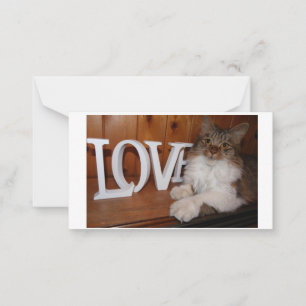 Carte De Correspondance Maine coon love cat 3,5 x 2