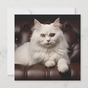 Carte De Correspondance Majestic white cat