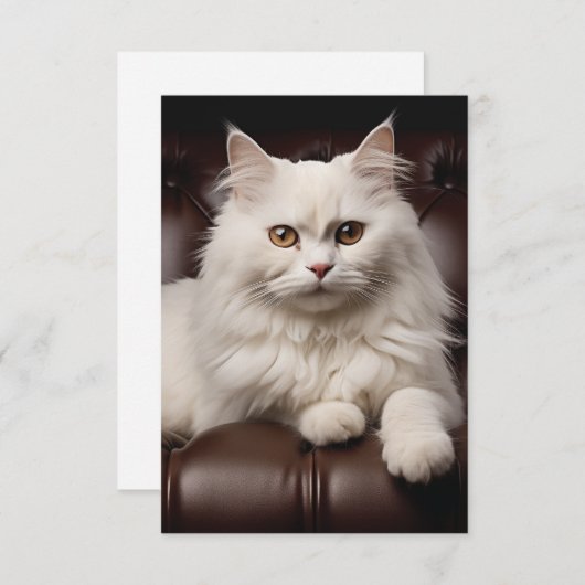 Carte De Correspondance Majestic white cat (Devant / Derrière)