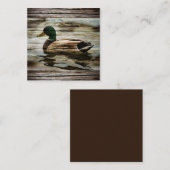 Carte De Correspondance Mallard Duck (Devant / Derrière)