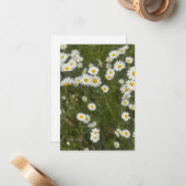 Carte De Correspondance Marguerites (Devant/Arrière en situation)