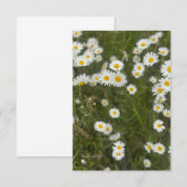 Carte De Correspondance Marguerites (Devant / Derrière)