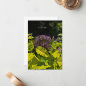 Carte De Correspondance Masquer l'Allium (Devant/Arrière en situation)