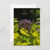 Carte De Correspondance Masquer l'Allium (Devant / Derrière)