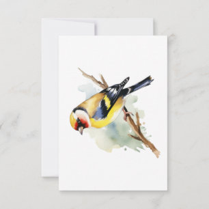 Carte De Correspondance Merci funéraire aux oiseaux jaunes bleus, Sympathi