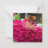 Mini-notes sur Z "Fly Away"
