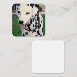 Carte De Correspondance Mon ami animal Télécharger votre propre photo pers