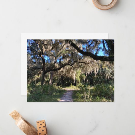 Carte De Correspondance Moss espagnole (Devant/Arrière en situation)