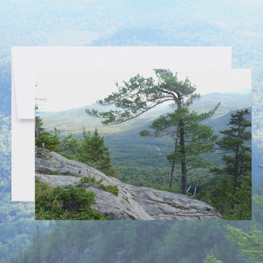 Carte De Correspondance Mountain Pine Tree – Nature’s Resilience Photo