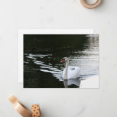 Carte De Correspondance Mute Swan (Devant/Arrière en situation)