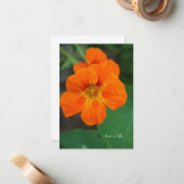 Carte De Correspondance Nasturtium (Devant/Arrière en situation)