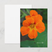 Carte De Correspondance Nasturtium (Devant / Derrière)