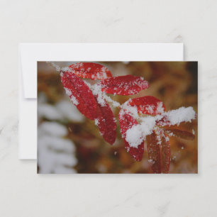 Carte De Correspondance Neige sur feuilles rouges