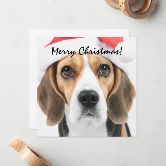 Carte De Correspondance Noël Beagle (Devant/Arrière en situation)
