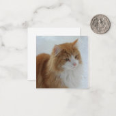 Carte De Correspondance Norwegian_Forest_Cat (Devant/Arrière en situation)