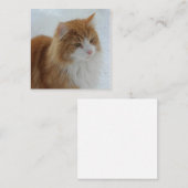 Carte De Correspondance Norwegian_Forest_Cat (Devant / Derrière)