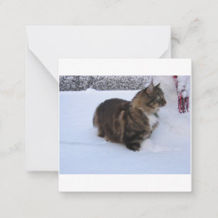 Carte De Correspondance norwegian forest cat in snow