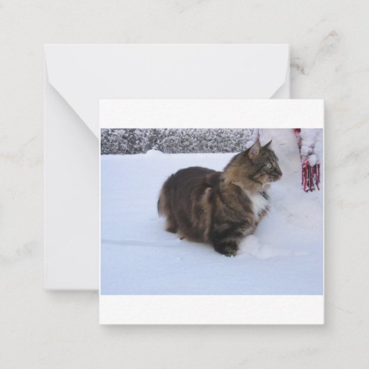 Carte De Correspondance norwegian forest cat in snow (Devant)