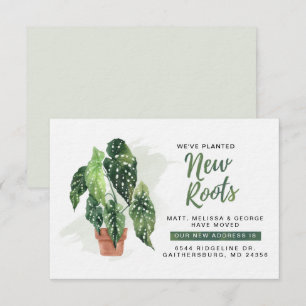 Carte De Correspondance Nous avons planté de nouvelles racines qui se dépl