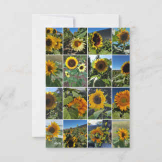 Carte De Correspondance Oh So Many Sunflowers Collage