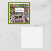 Carte De Correspondance Oiseaux de Boston Photo Collage (Devant / Derrière)