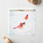 Carte De Correspondance Oiseaux d'hiver d'une fenêtre (Devant/Arrière en situation)