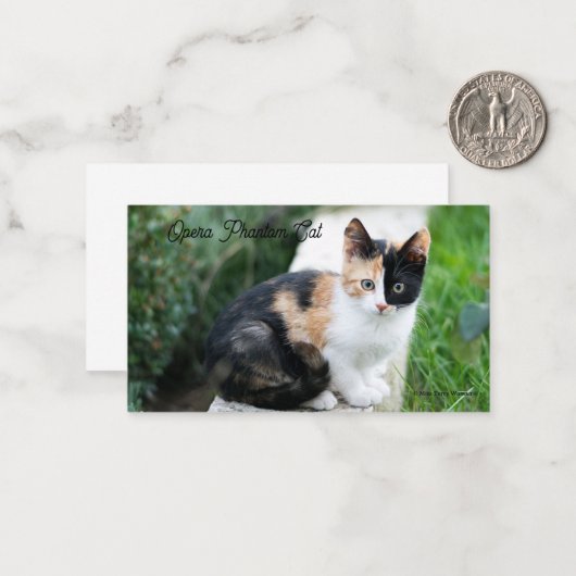 Carte De Correspondance Opera Phantom Chat (Devant/Arrière en situation)