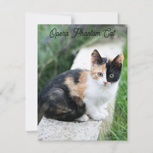 Carte De Correspondance Opera Phantom Chat (Devant)
